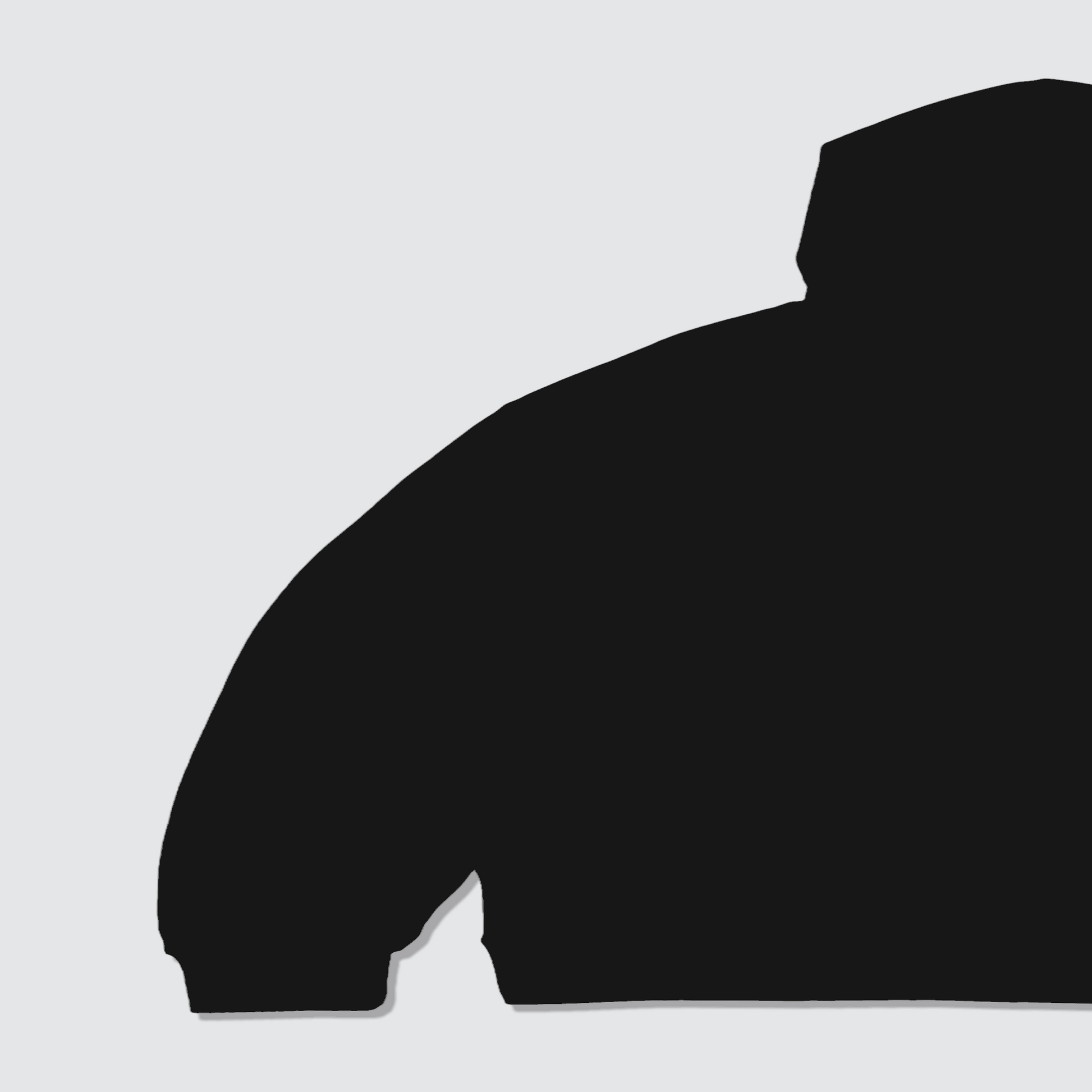 Black Hoodie